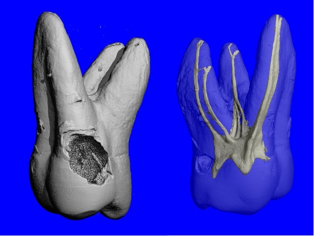 Foto: Dr. Frank Paqué, Zürich